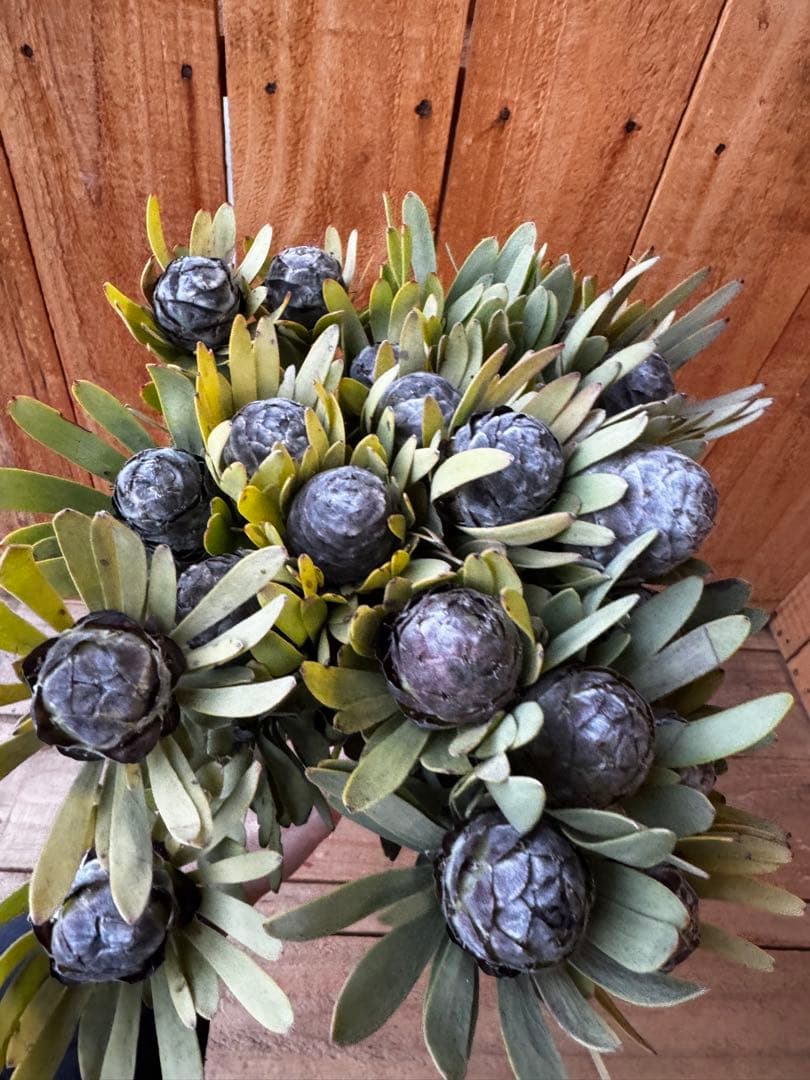 Flower lovers様 リクエスト 8点 まとめ商品