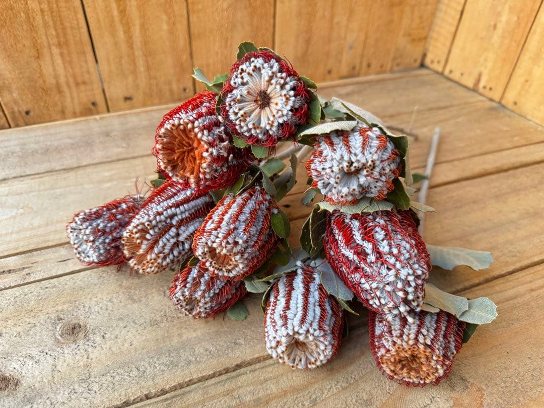 Flower lovers様 リクエスト 8点 まとめ商品