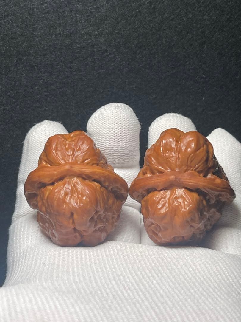 【育成1年目】延慶蝦蟇頭42mm