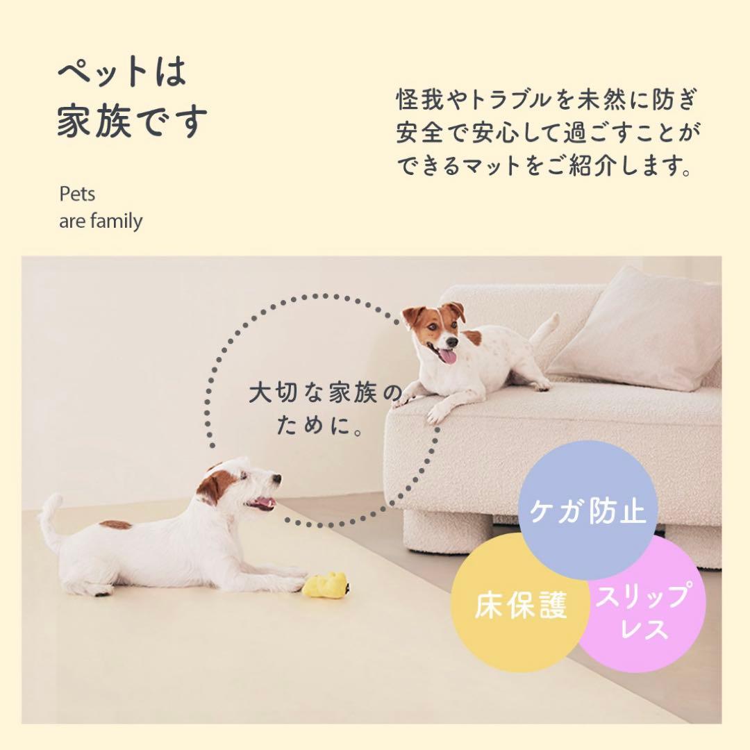 p!nkさま専用　ピュリナ付き