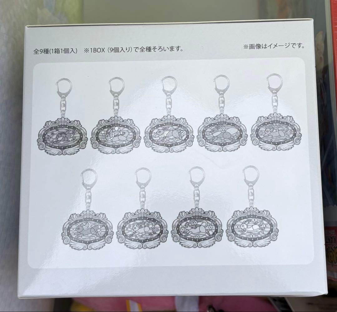 ポケパークカントー限定　イーブイ ブイズ アクリルキーホルダーフルコンプセット