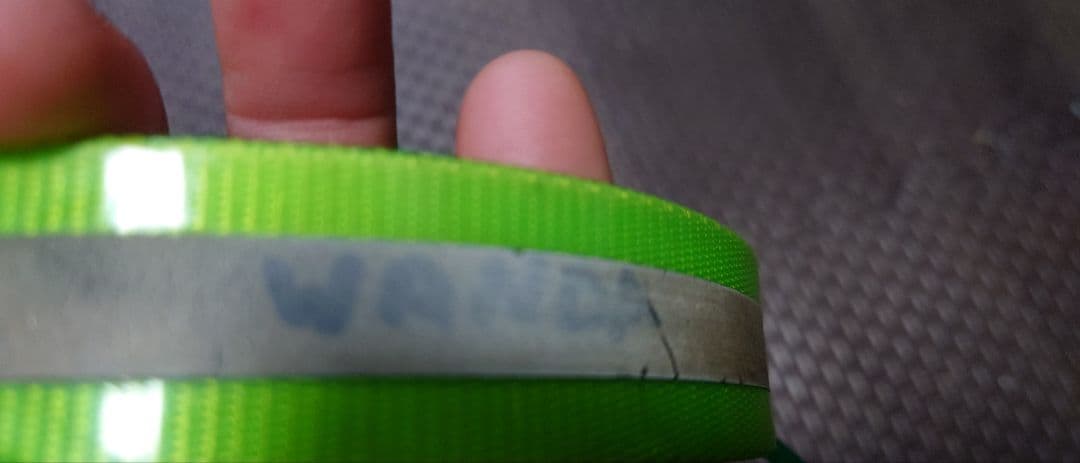 ガーミンアストロ　DC40 ドッグマーカー