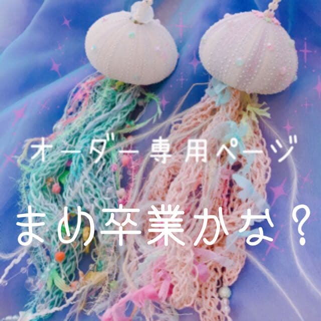 まめ☽・:*オーダー品✩.*˚