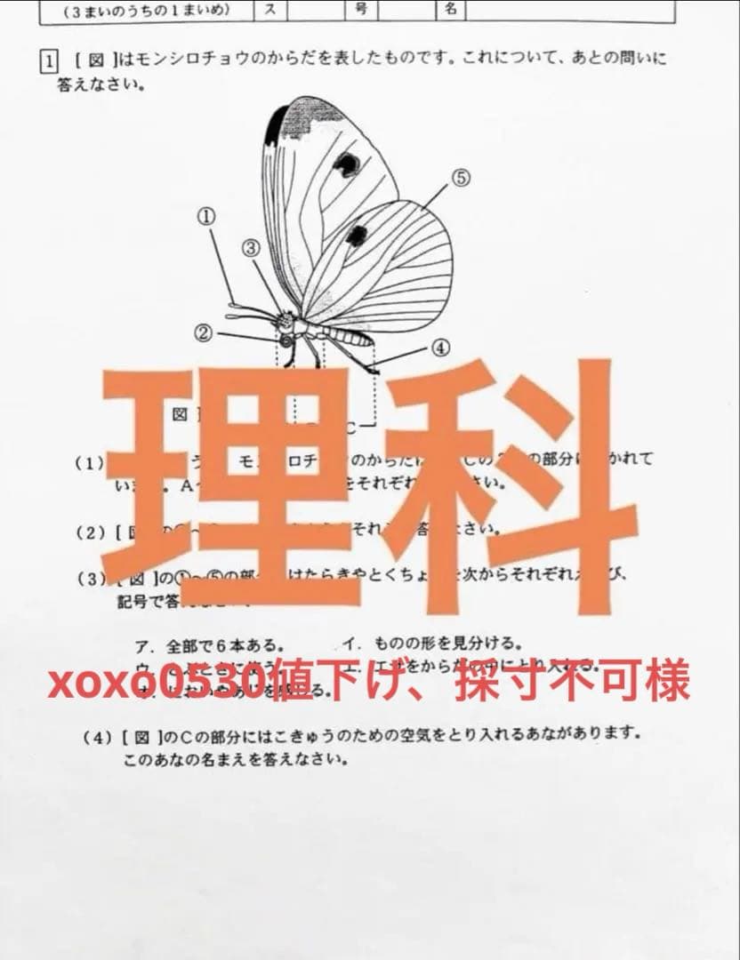 xoxo0530値下げ、採寸不可様