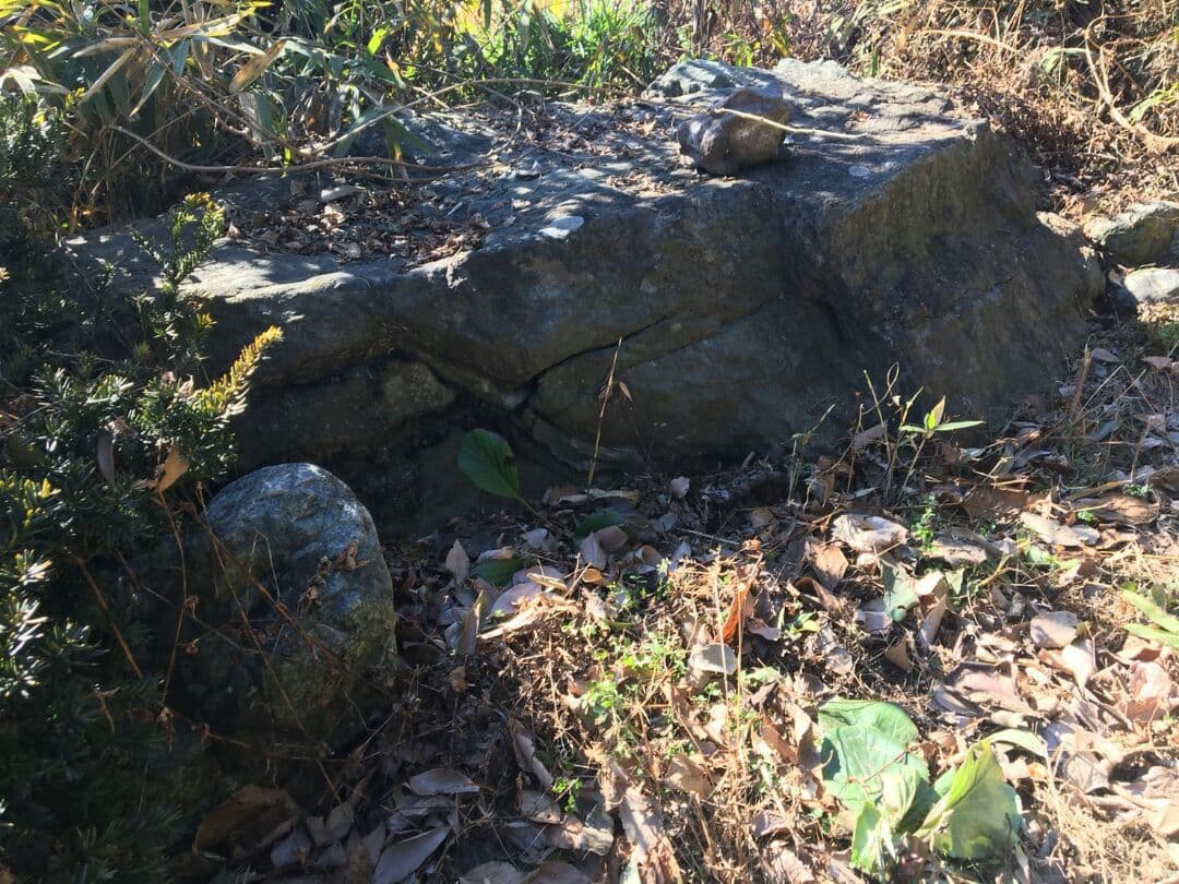 天然記念石！三波石