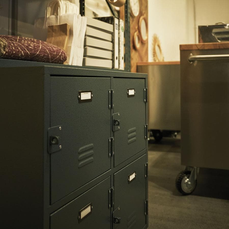 東谷 ラルド チェスト4D TPN-31GR 1515