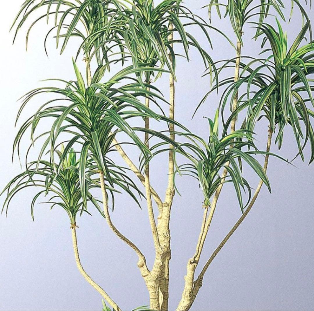 光触媒　人工観葉植物　ウォールグリーン　フェイクグリーン　ユッカツリー1700