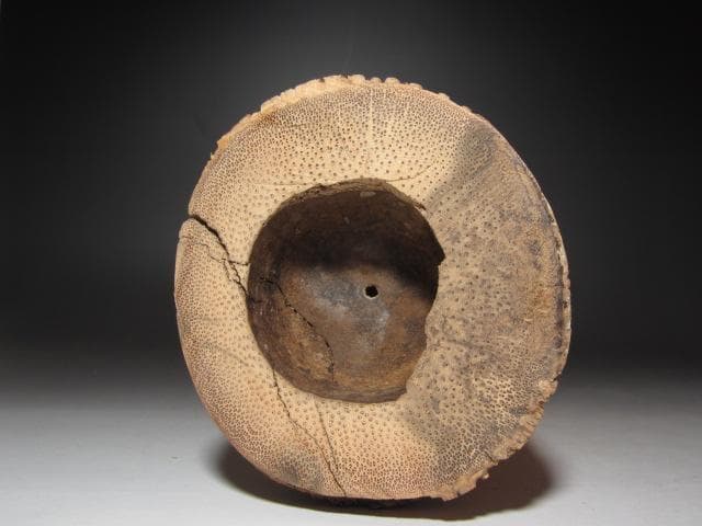 【セール中】☆　裏千家　八代　又玄斎　一燈　竹花入　「柳陰」☆y278