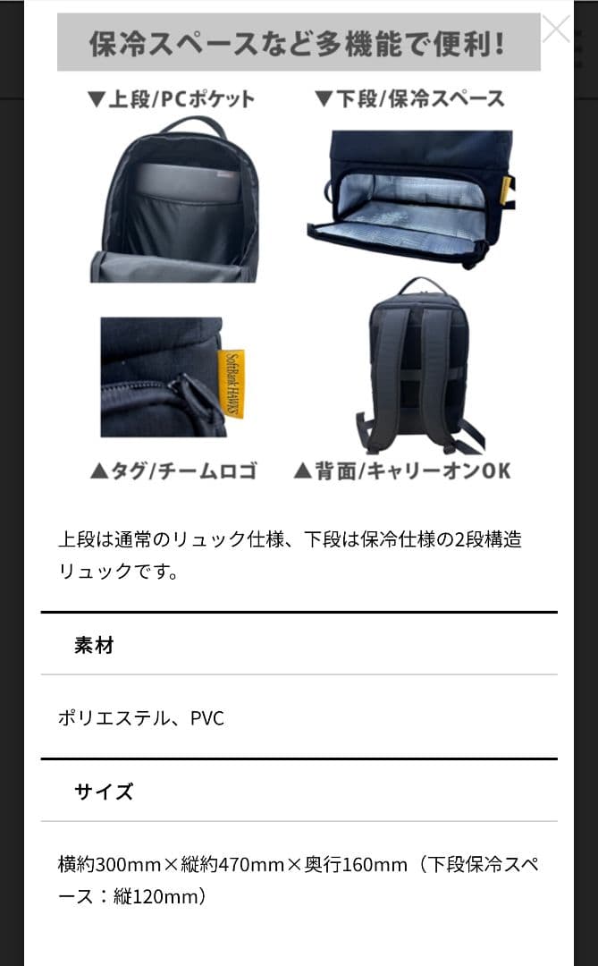福岡ソフトバンクホークスCH会員特典リュック