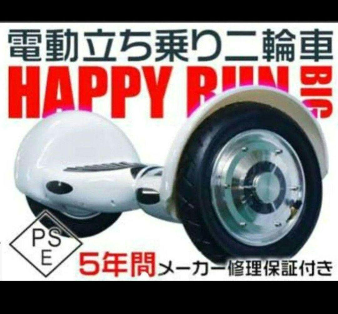 セグウェイ 10インチ