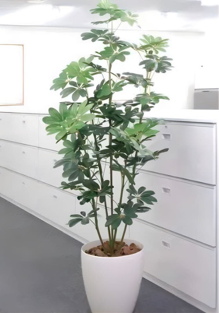 光触媒　人工観葉植物　ウォールグリーン　フェイクグリーン　カポック 1.8m