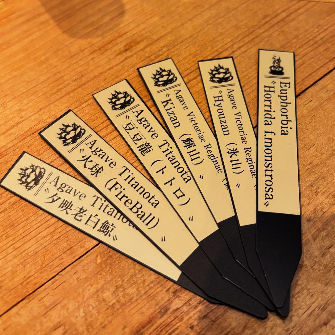 【購入者様】オーダーメイド作品　植物ラベル　園芸ラベル　プランツタグ　チタノタ