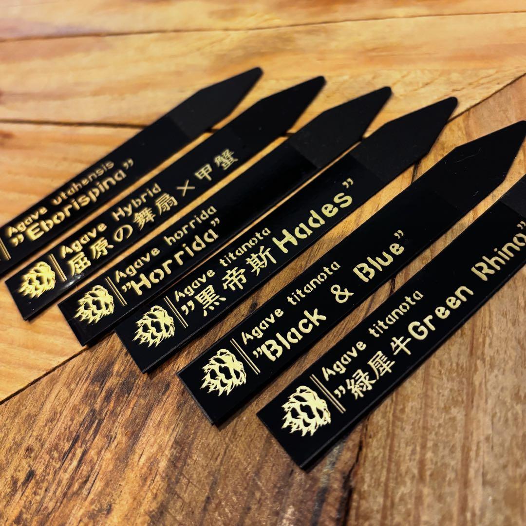 【購入者様】オーダーメイド作品　植物ラベル　園芸ラベル　プランツタグ　チタノタ