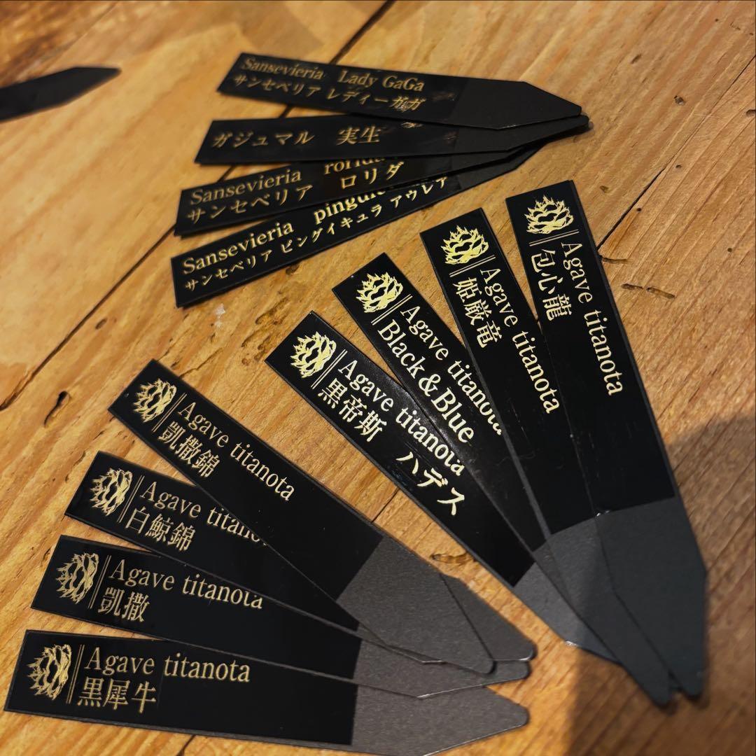 【購入者様】オーダーメイド作品　植物ラベル　園芸ラベル　プランツタグ　チタノタ