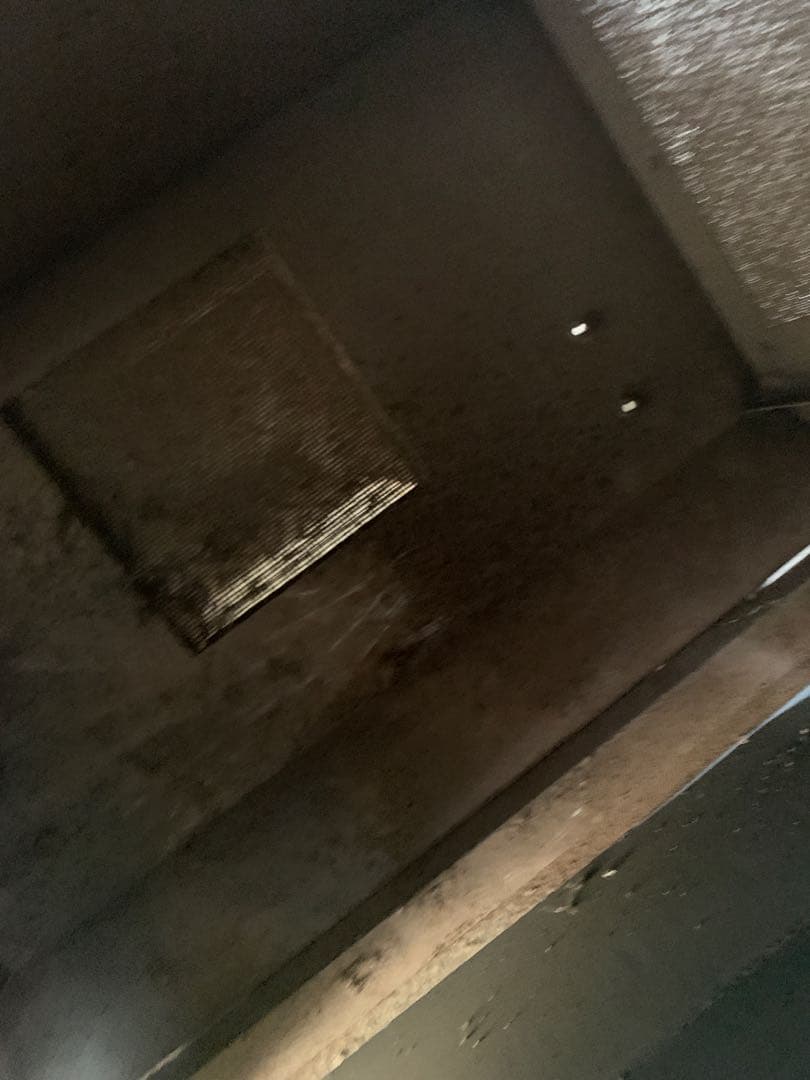 熊本発　動作品　MSK-3SS型　 長ネギ用 残渣処理コンベア