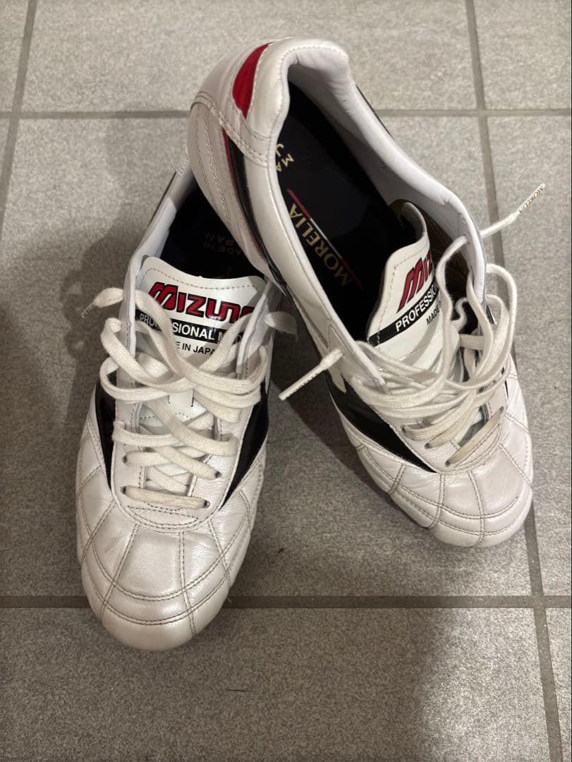 【us21様】モレリア2 クロスステッチ　25.5cm