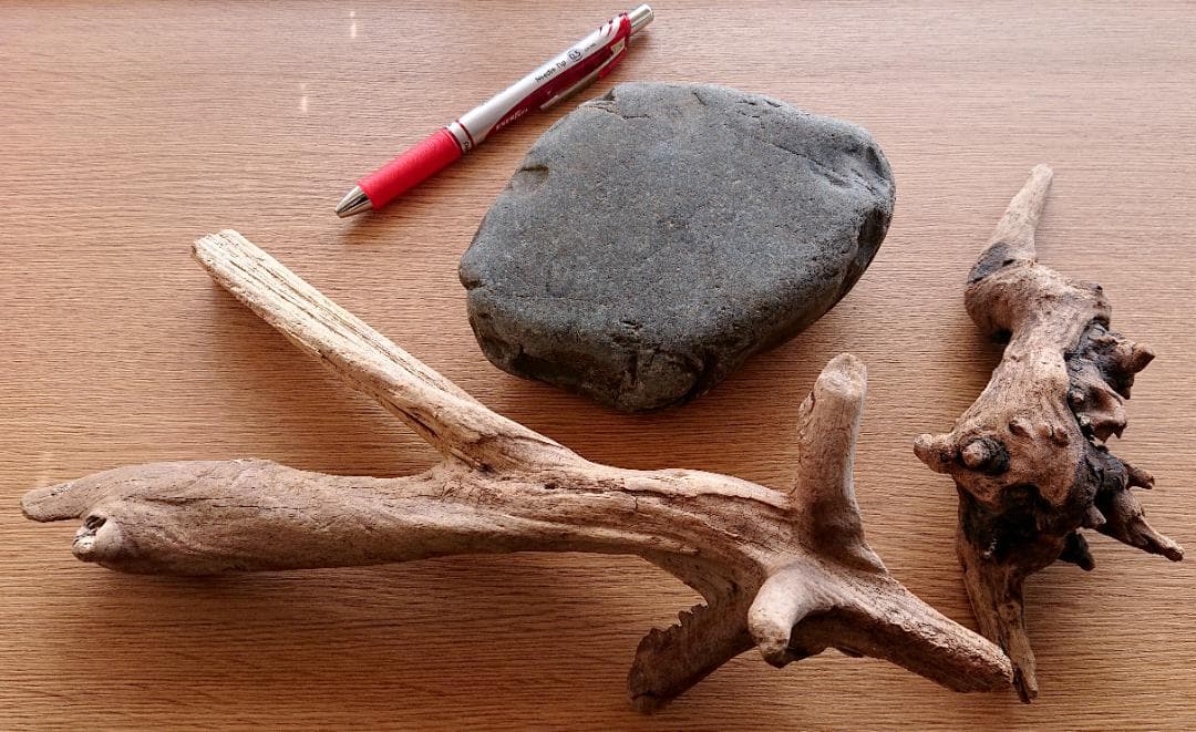 カナヘビ・爬虫類飼育11点セット