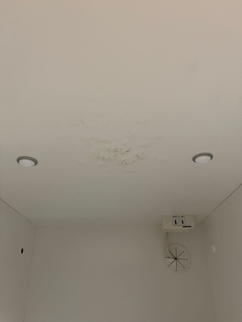 ※1/20まで※ ニトリ キッチンボード 食器棚 リガーレ 幅120cm