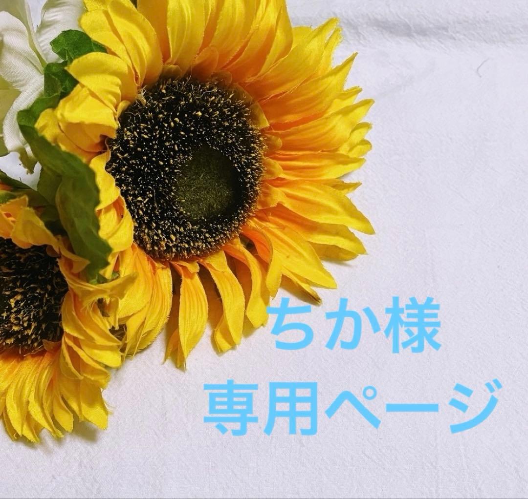 ちか様オーダー専用ページです