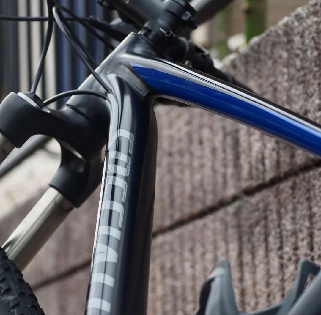 Specialized マウンテンバイク 29インチ