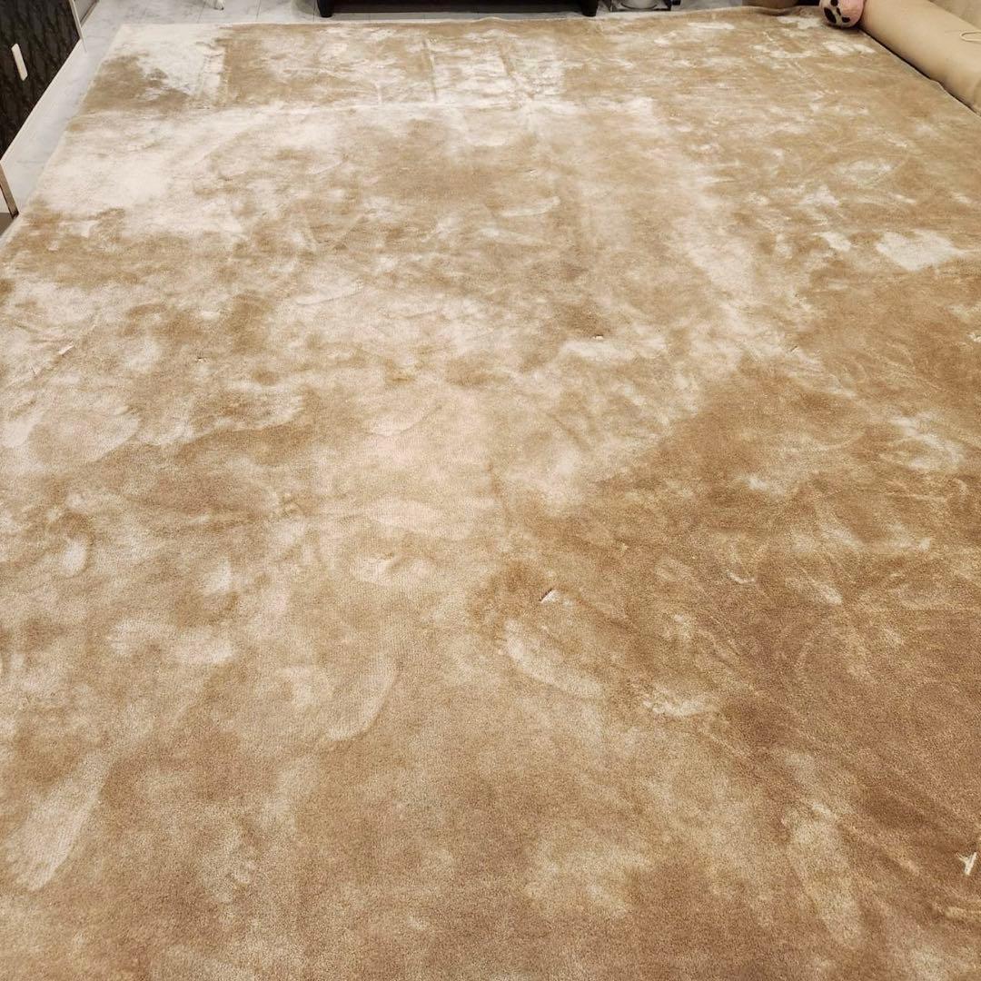 最高級！Fisba フィスバ Saga サーガ 80740ラグ単品　絨毯347万