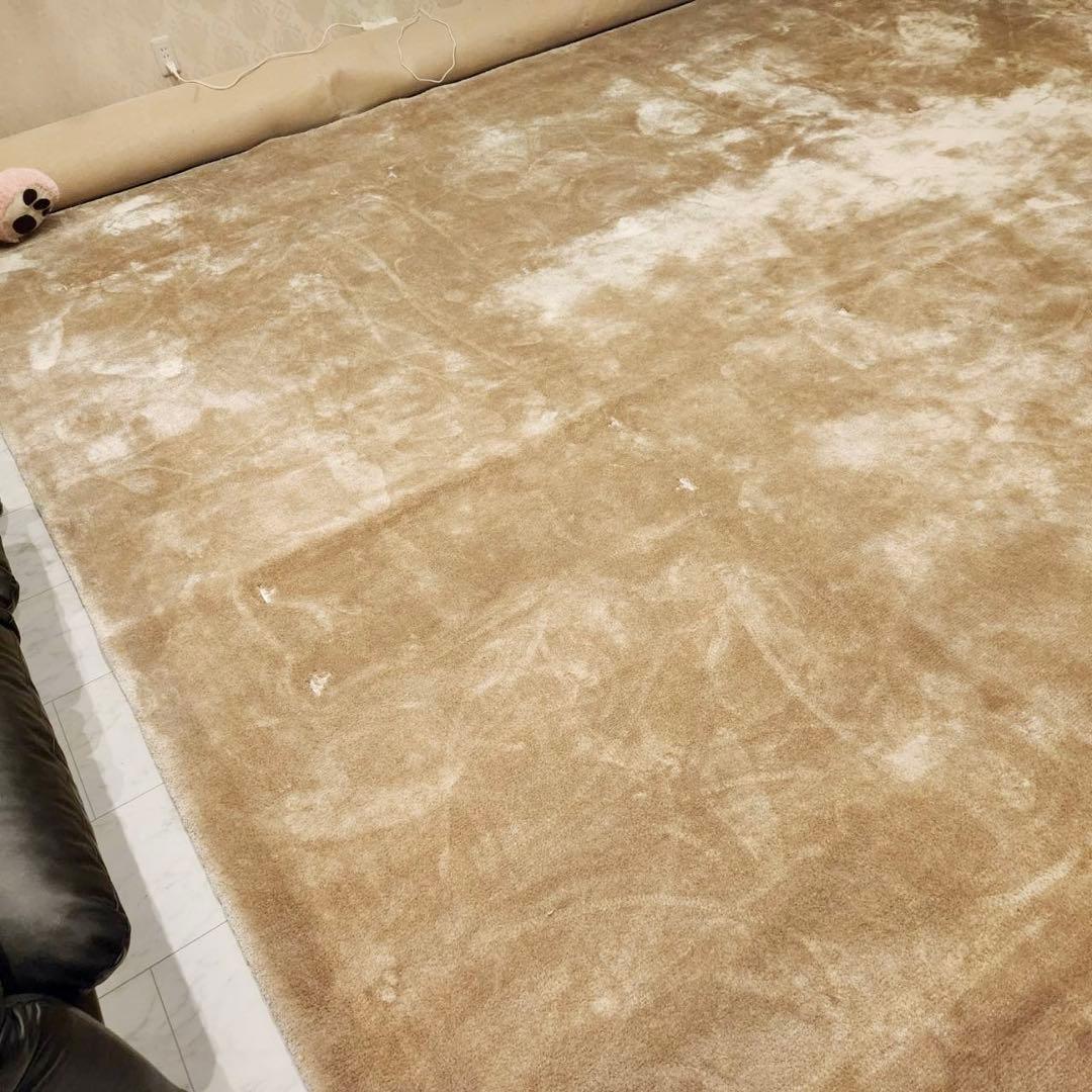 最高級！Fisba フィスバ Saga サーガ 80740ラグ単品　絨毯347万