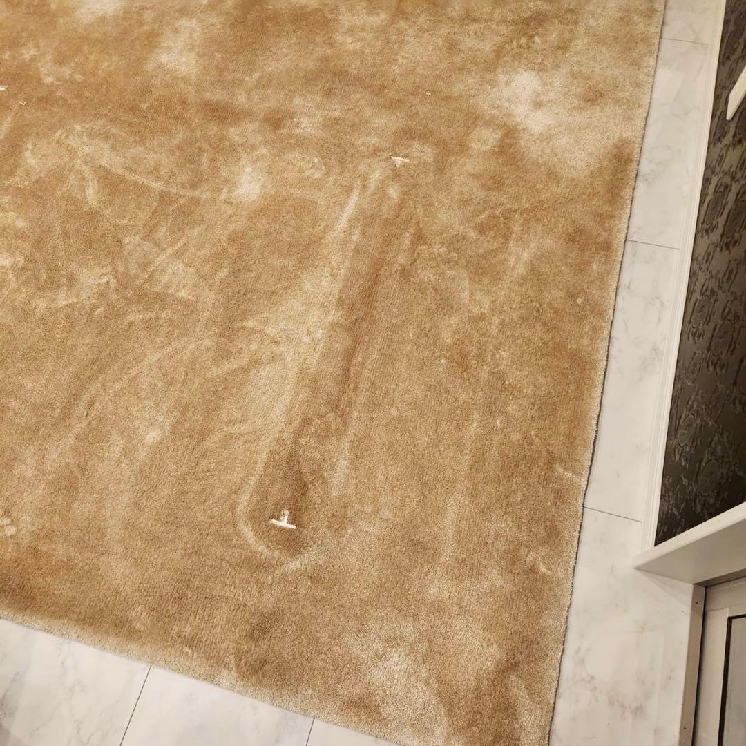 最高級！Fisba フィスバ Saga サーガ 80740ラグ単品　絨毯347万