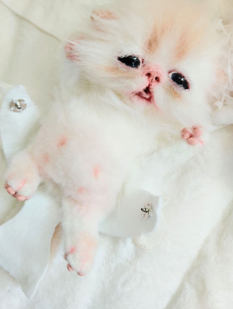 生後10日♡子猫ちゃんと♡ミーナちゃん♡アートドール♡ぬいぐるみ♡