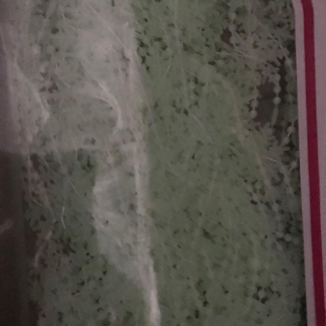 蓄光　ビーズカーテン