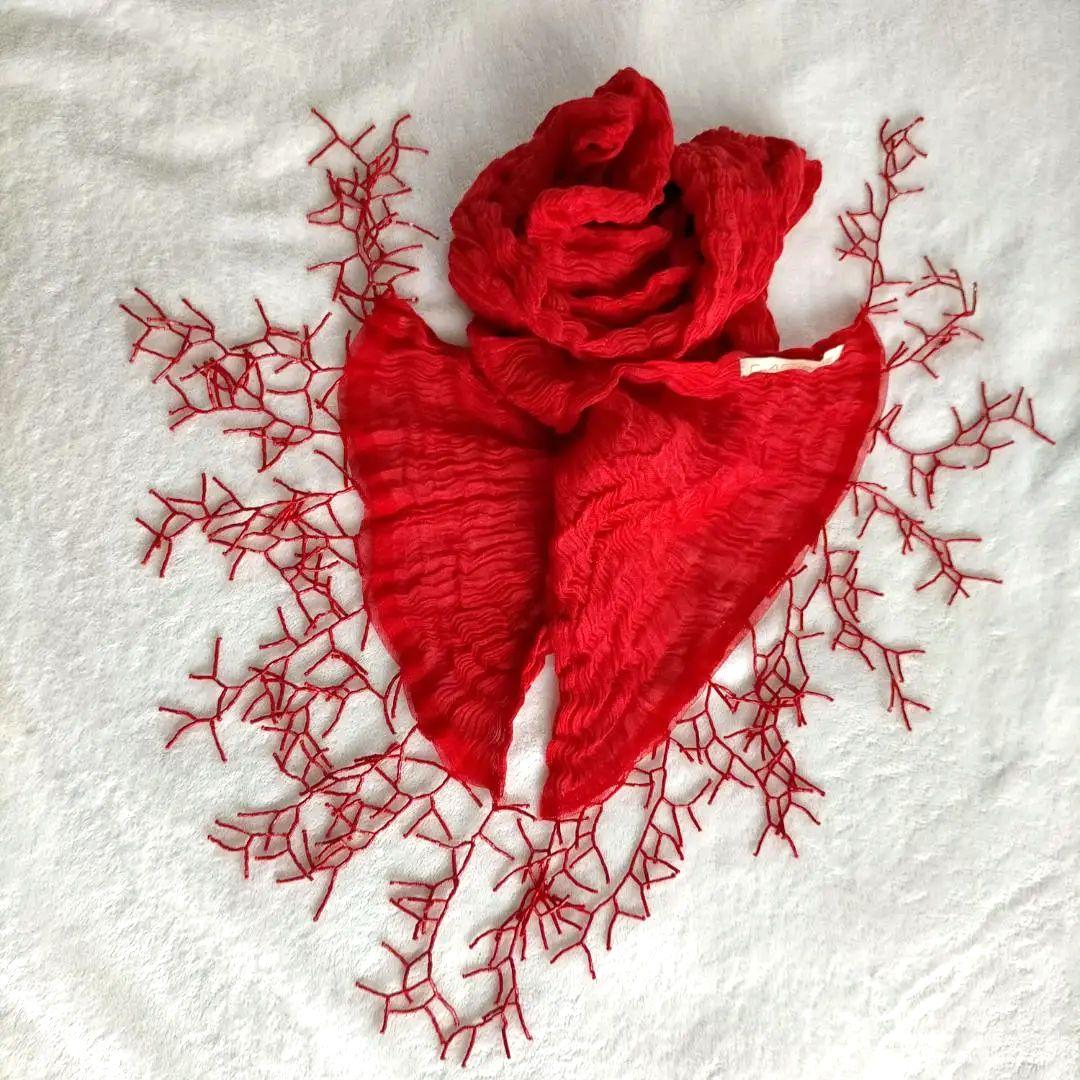 RobertoCavalli クラスロベルトカヴァリ