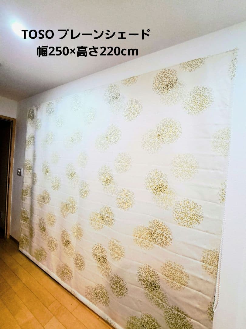 TOSO プレーンシェード 遮光 幅250×高さ220 ドラム式 栃木手渡しのみ