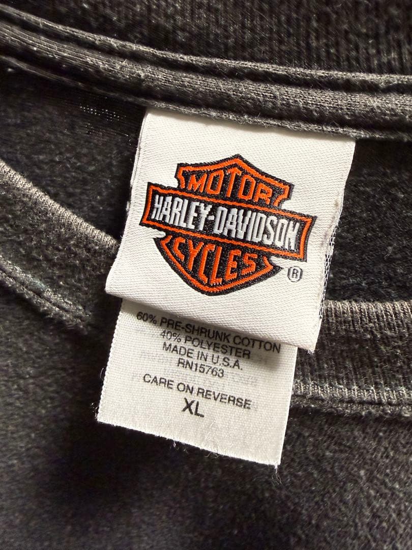 ハーレーダビッドソン ロンT 袖フレイム XL ヴィンテージ