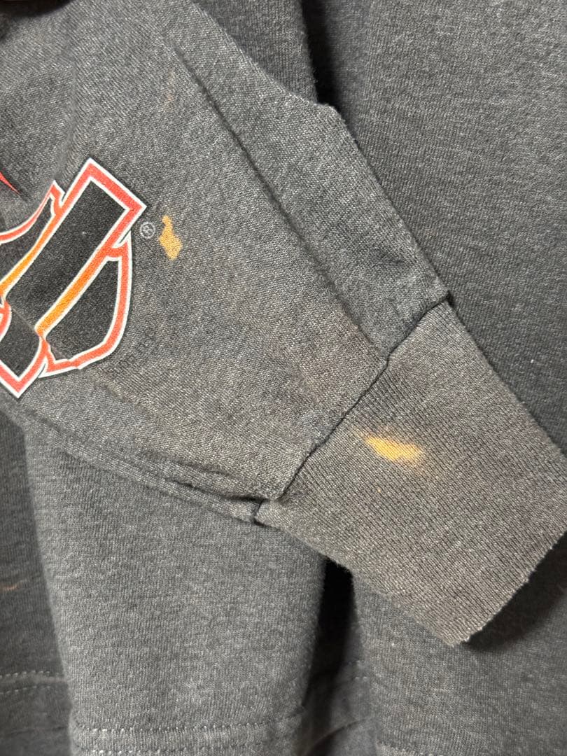 ハーレーダビッドソン ロンT 袖フレイム XL ヴィンテージ