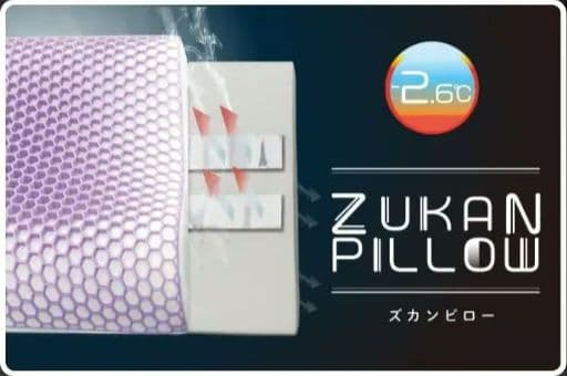 【値下げ中】フランスベッド ZUKANピロー