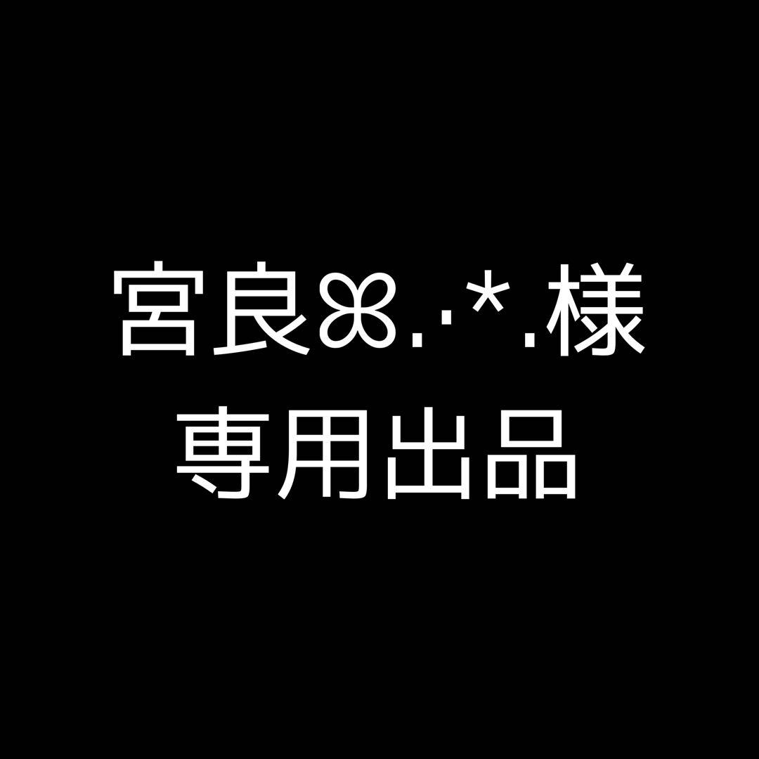 【専用出品】SixTONES歴代シングル・アルバムセット、ライブパンフレット