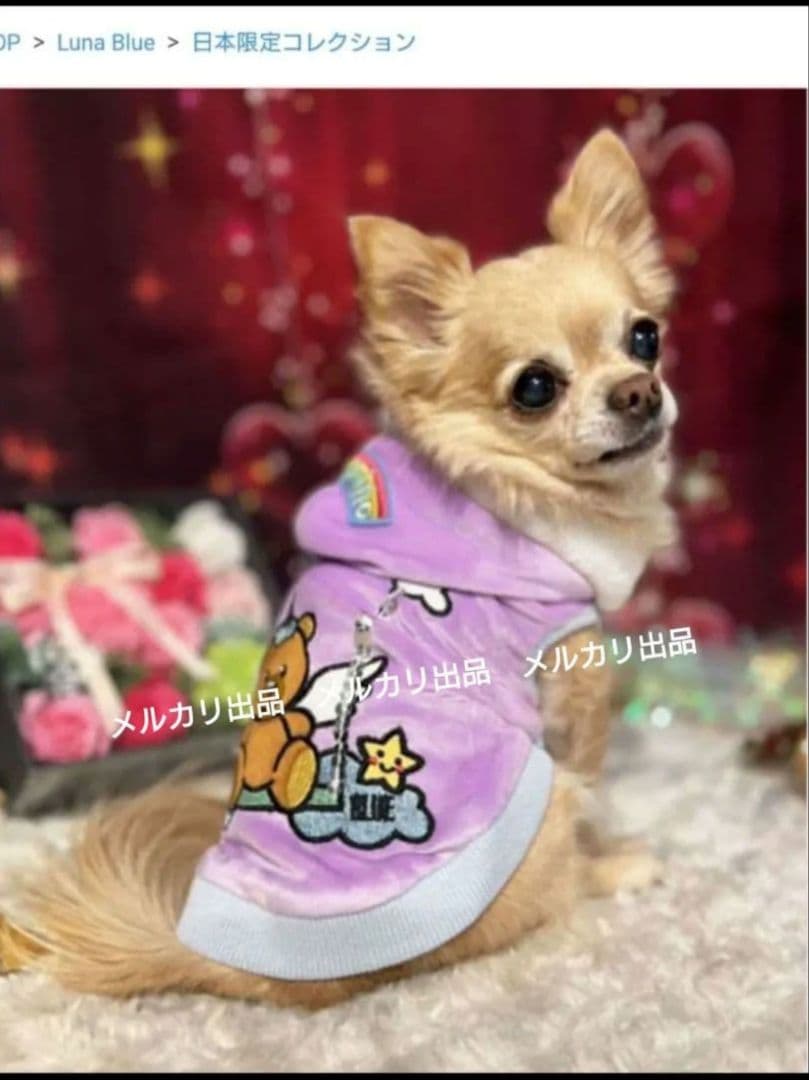 Luna Blue ルナブルーパーカー　フーディ日本限定　Ｓ　完売品　②