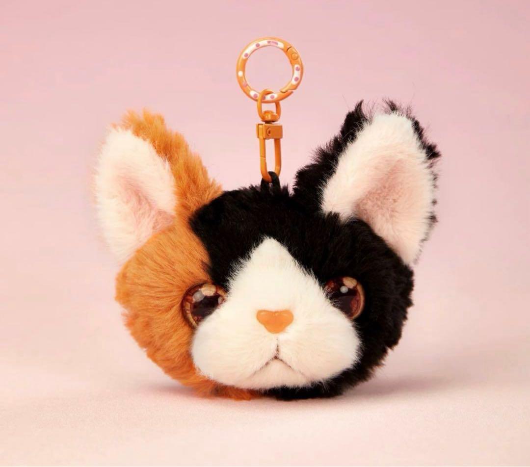 よっしーページです❤️