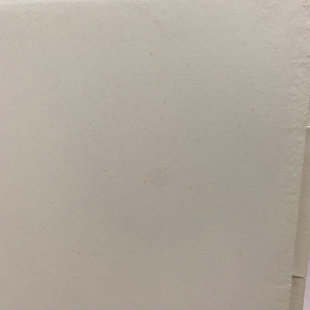 【美品】 茶道具 風炉先屏風 風炉先　総張 裏白　黒塗枠 雲鵬