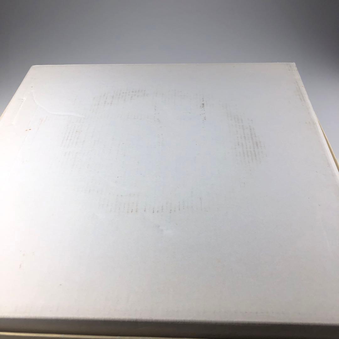 レイノー　プレート　6枚セット