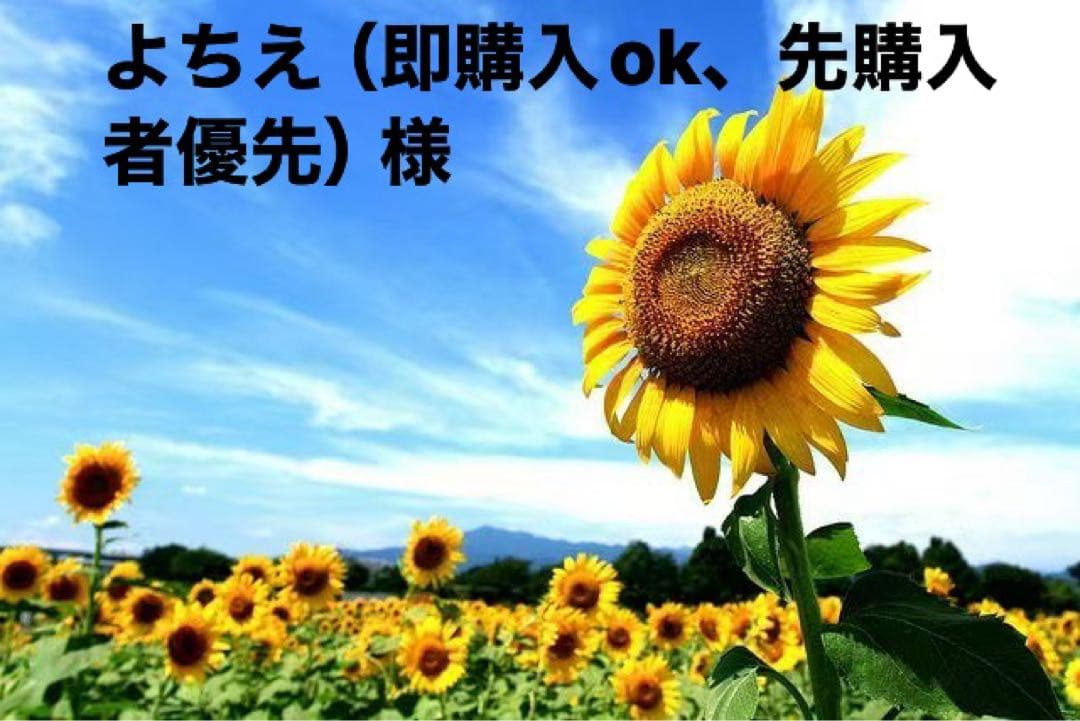 よちえ（即購入ok、先購入者優先）様