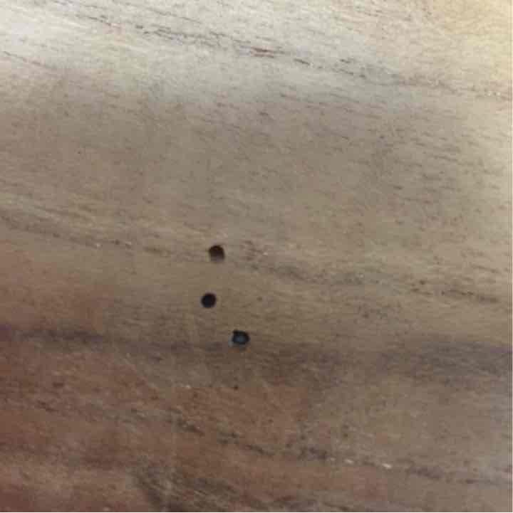 貝細工ウッドボウル