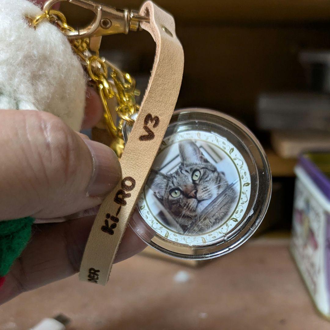 むーぽんぽん出品 豆猫PECO-LIN