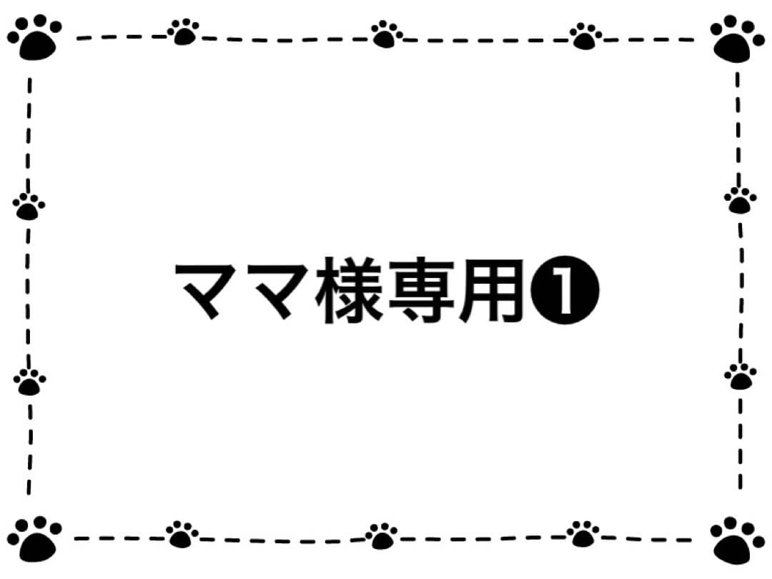 ⑨NC成犬 超小型犬〜小型犬 ラム 16kg❶