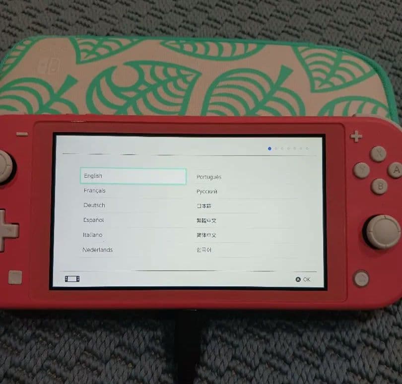 Nintendo Switch Lite ピンク 本体 充電器 ケース、箱付き