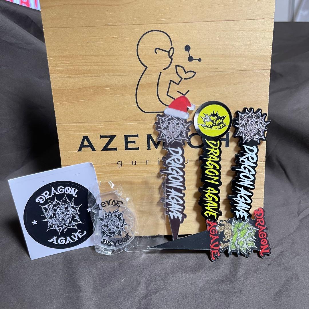 アガベ 赤猫 ドラゴンアガベ　Doragon agave