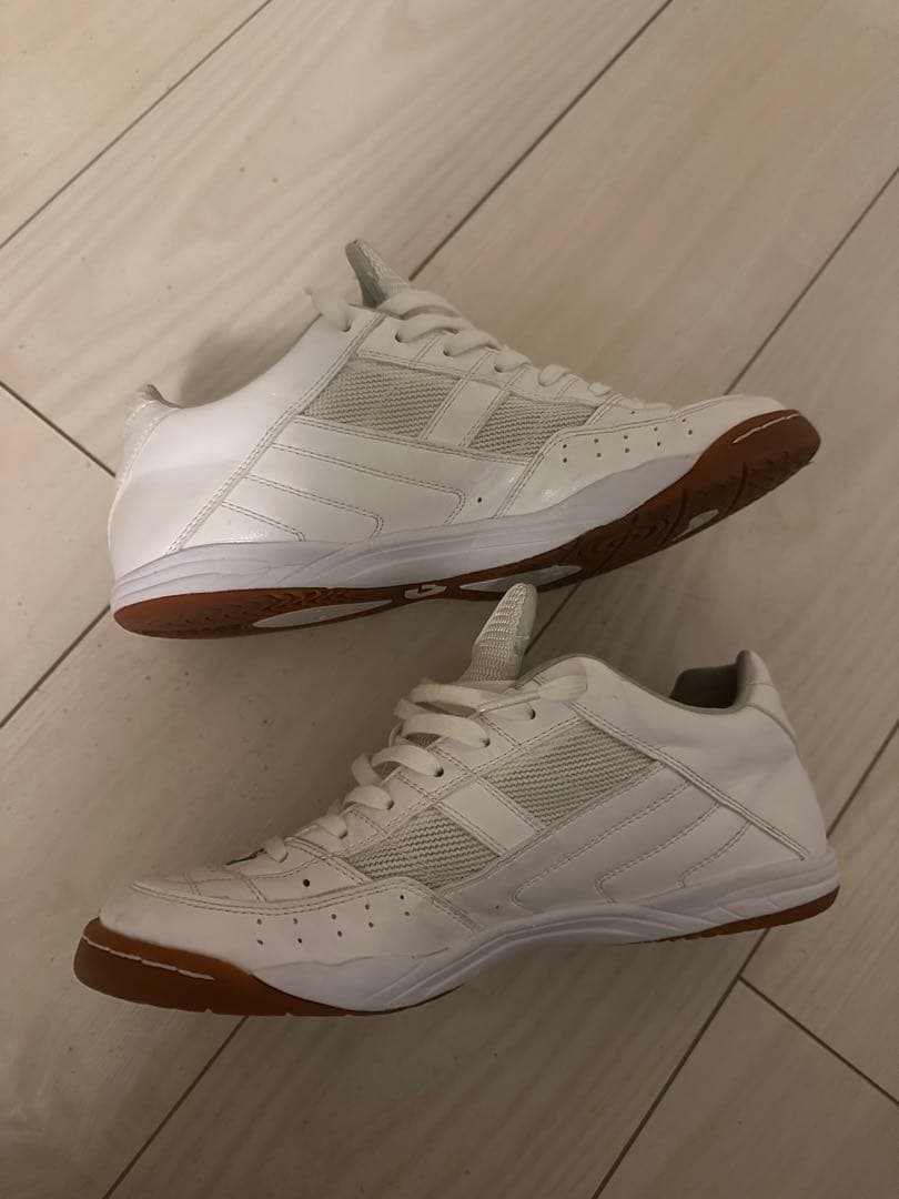 デスポルチ　テッサライトID3 25.5