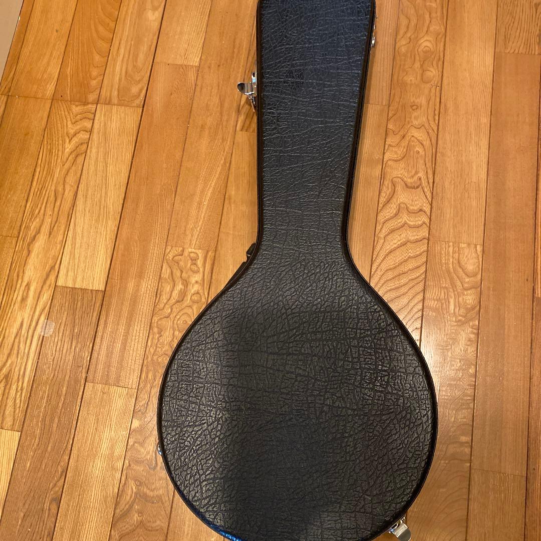 弦楽器 ARIA Mandolin