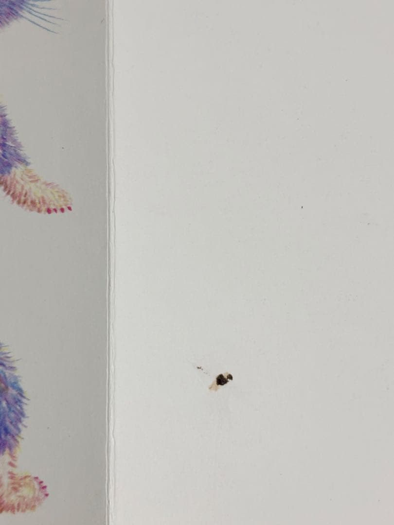 こどものとも012 もこちゃんチャイルド えほんのいりぐち　60冊　まとめ売り