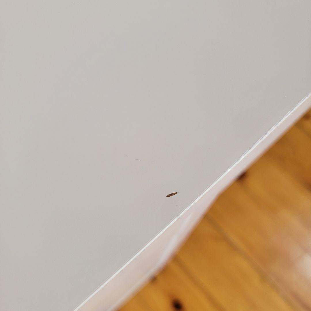 2025年5月購入 IKEA MICKEデスク 収納大容量