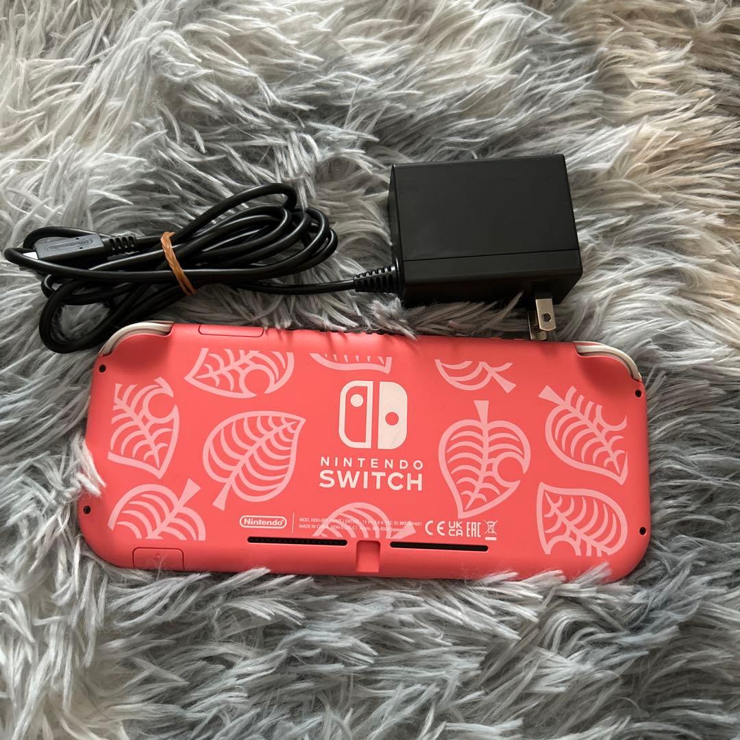 Nintendo Switch Lite (マリオブラザーズ・ワンダー付)